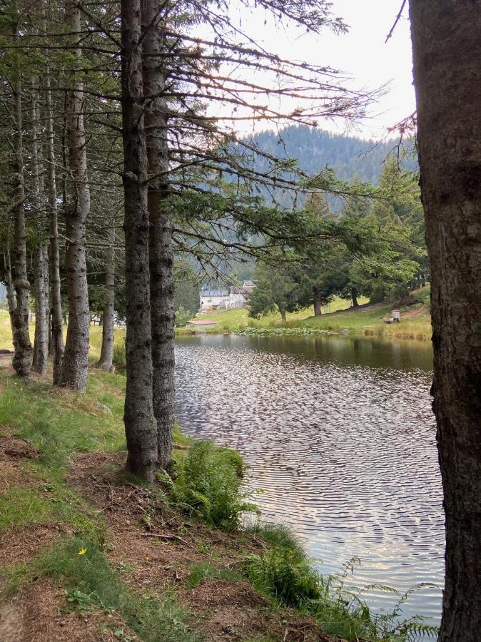 Do-Minus Boutique Home & Private Spa Ca Pedrot Mountain Cottage Монте-Карассо Экстерьер фото