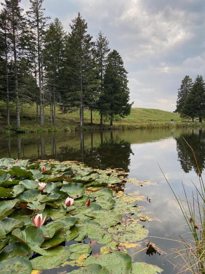 Do-Minus Boutique Home & Private Spa Ca Pedrot Mountain Cottage Монте-Карассо Экстерьер фото